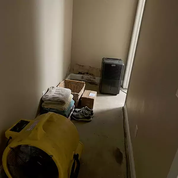 Expert Water Remediation in Delray Beach, FL 