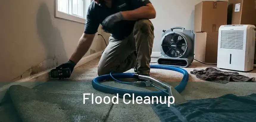  Flood Cleanup 