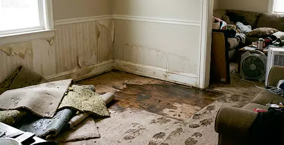 Why Choose Delray Beach Water Restoration For Water Damage Restoration Services in Delray Beach, FL?