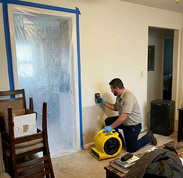 Why Homeowners & Businesses Choose Delray Beach Water Restoration for Water Remediation in Delray Beach, FL?